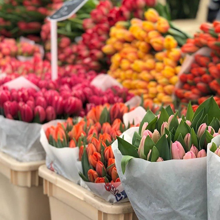 Albert Cuyp Market tulips